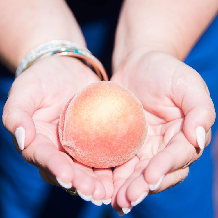 One Family Shares Their Peach Farm Route