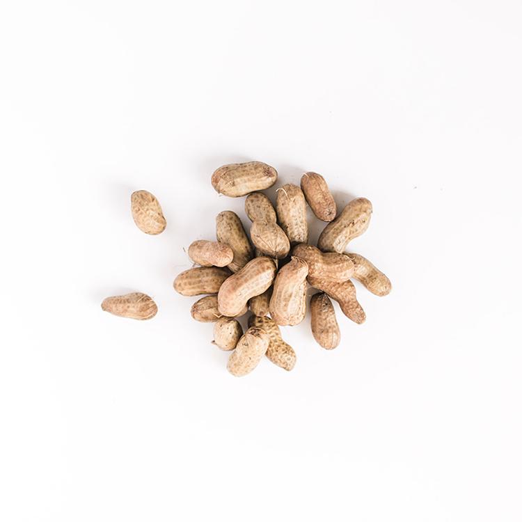 Boiled Peanuts from Hardy Farms